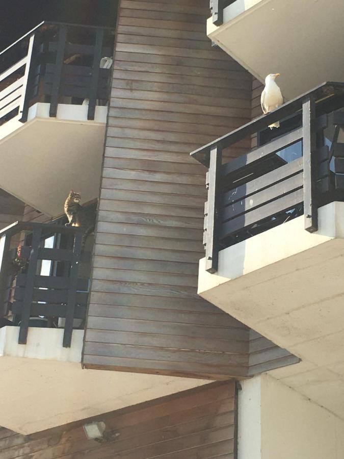 Mon Balcon Face A La Mer - Les Marinas Deauville Zewnętrze zdjęcie
